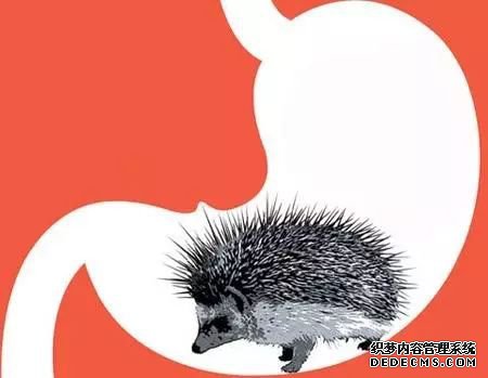 當心淺表性胃炎會引起這些嚴重的危害-當心淺表性胃炎會引起這些嚴重的危害